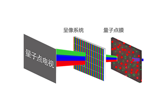 神彩争霸8ii下载(官方)登录-网站入口/网页版/手机app下载