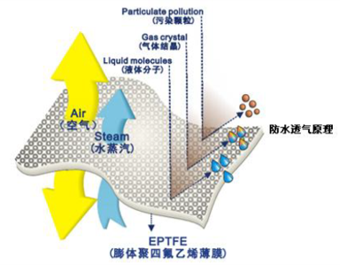 神彩争霸8ii下载(官方)登录-网站入口/网页版/手机app下载